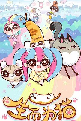 海珠seo优化哪家好